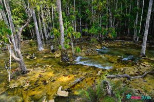 สระมรกต