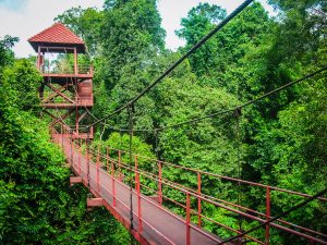 สวนพฤกษศาสตร์