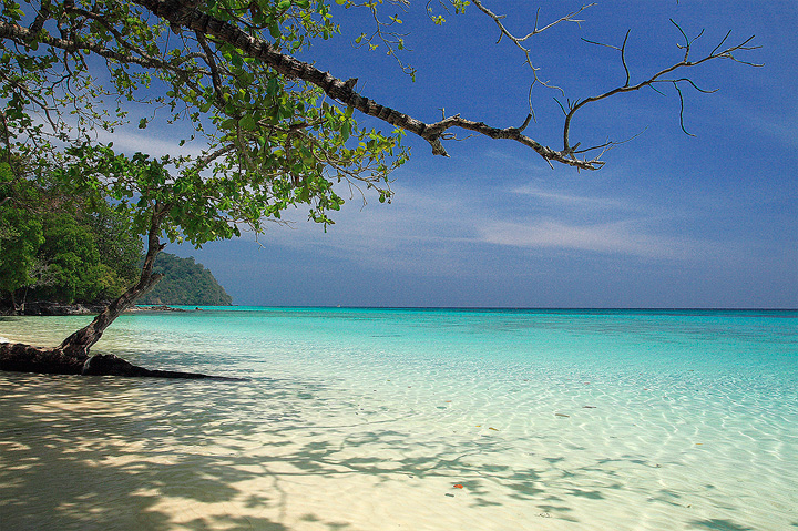 เกาะกระดาน