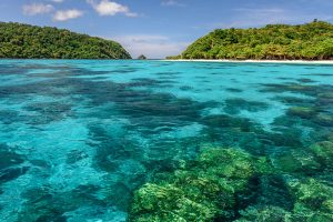 เกาะรอก