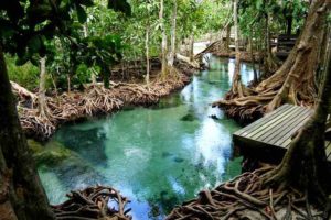 ท่าปอม คลองสองน้ำ