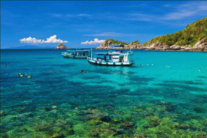 เกาะเต่า