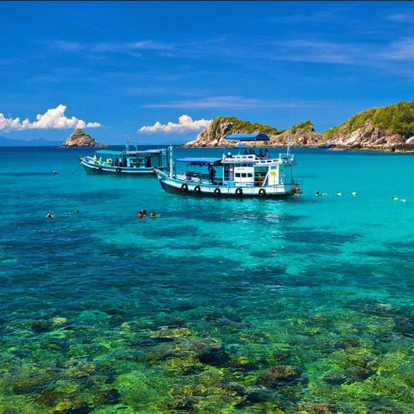 เกาะเต่า