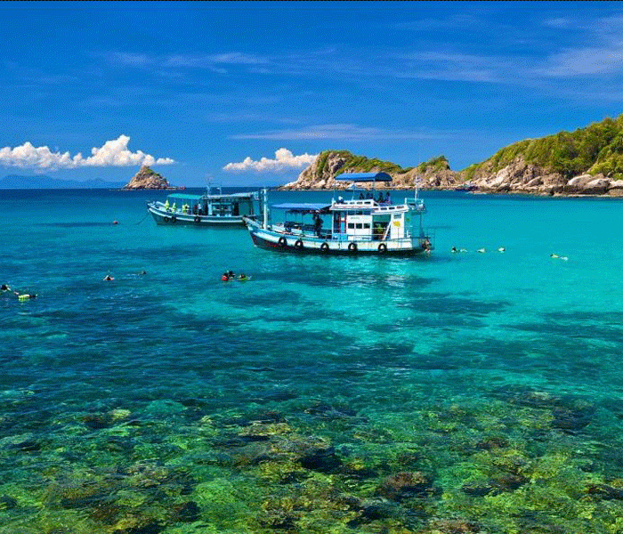 เกาะเต่า